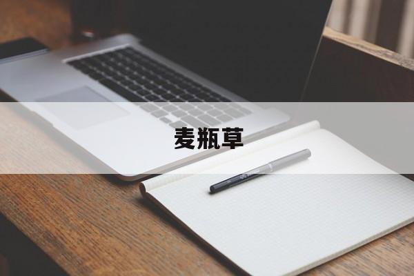麦瓶草:(麦瓶草图片大全)