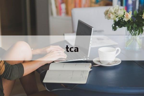 tca:(tca几次能填平痘坑)